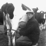 Siebe Huitema